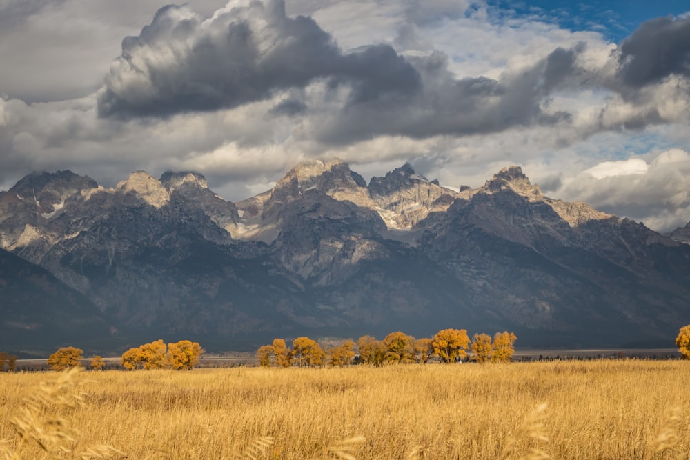 brown grass field near mountain at daytime