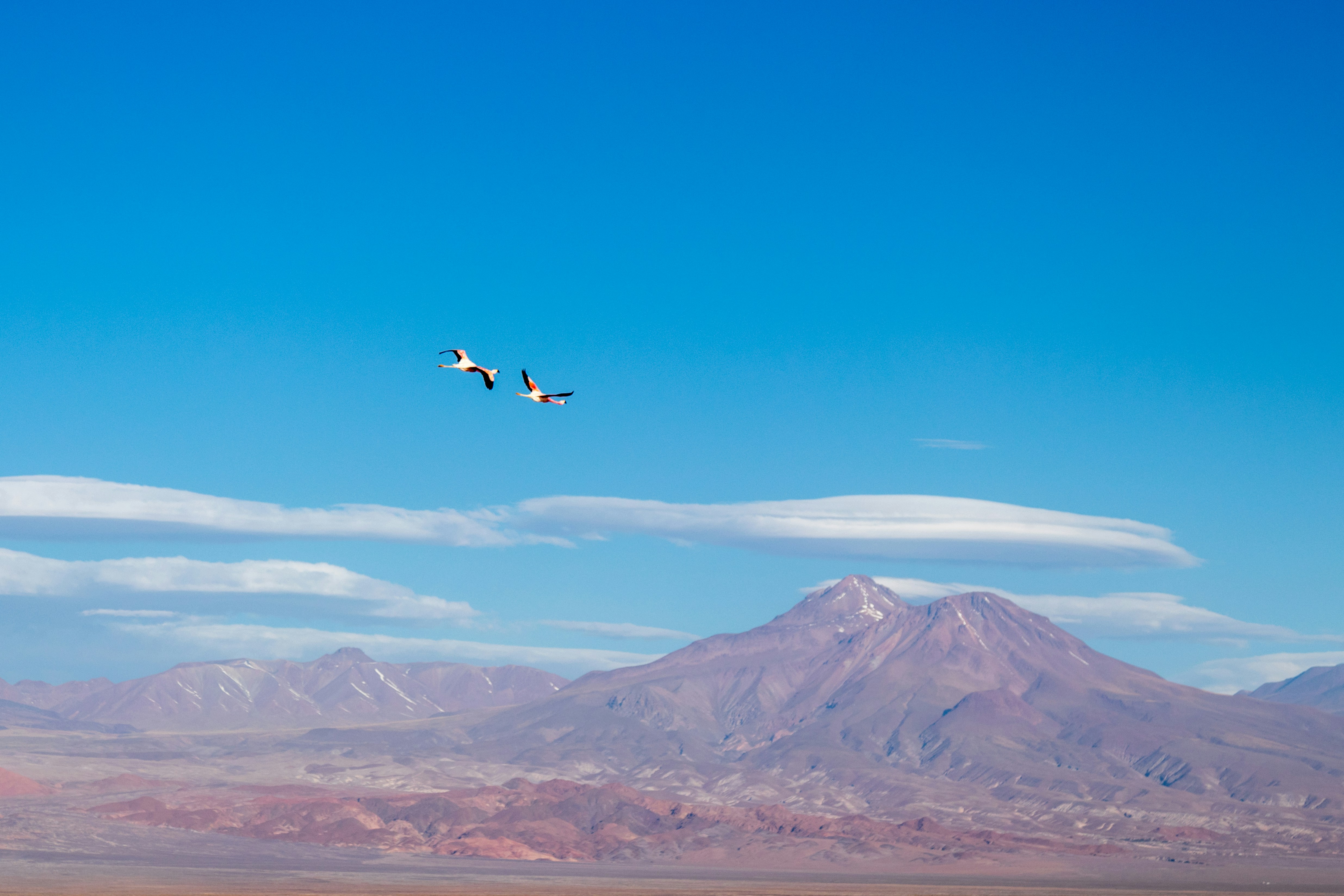 San Pedro de Atacama travel photo