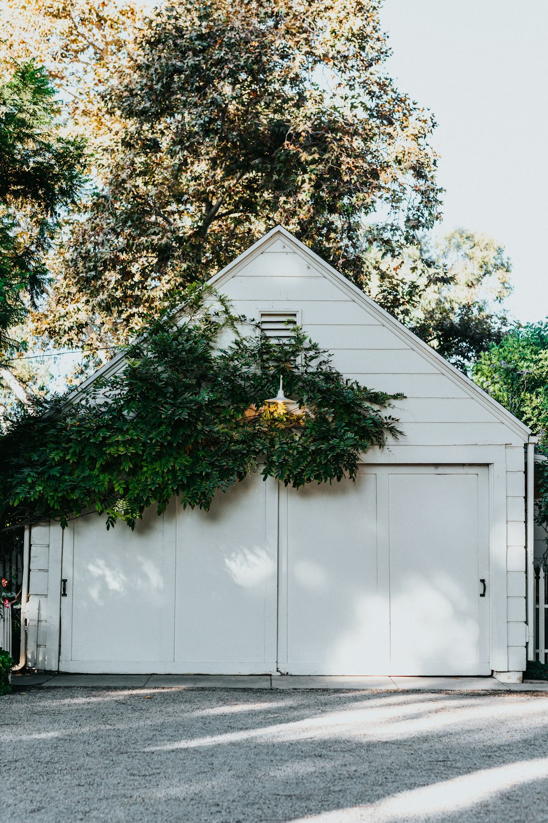 white wooden shed beside tree