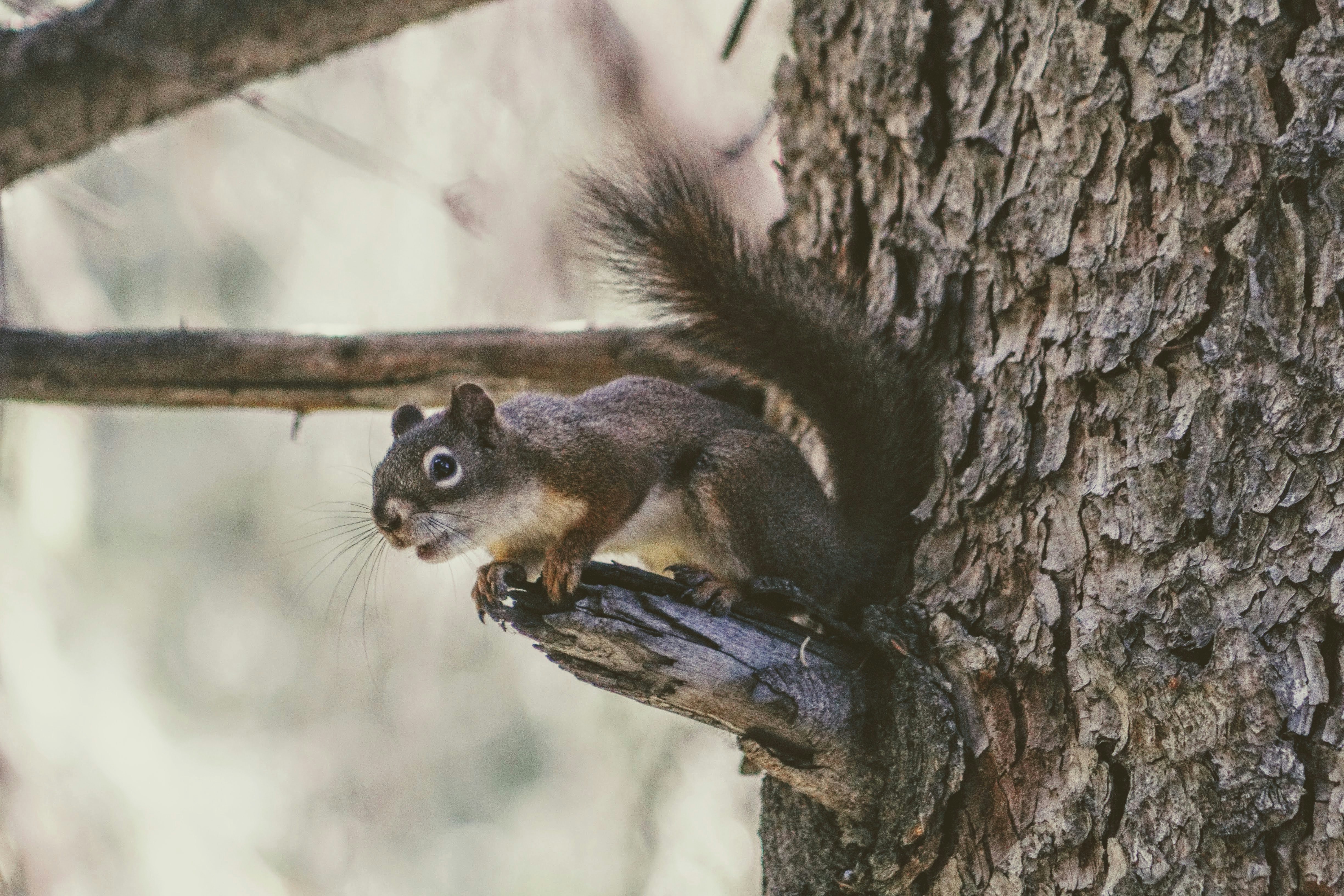 Photo by joshua_hoehne