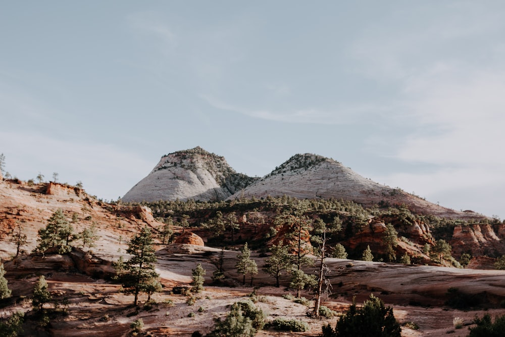 mountains and trees