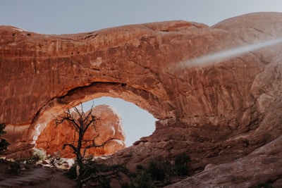 natural rock arch with a dead tree and a bunch of shrubs in front