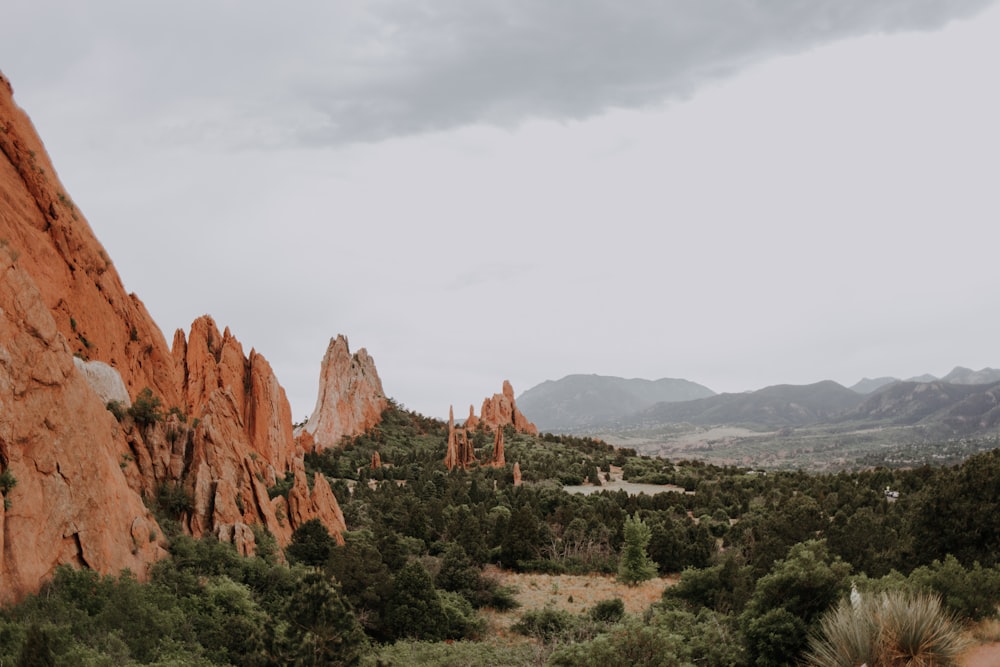 rock formations and trees