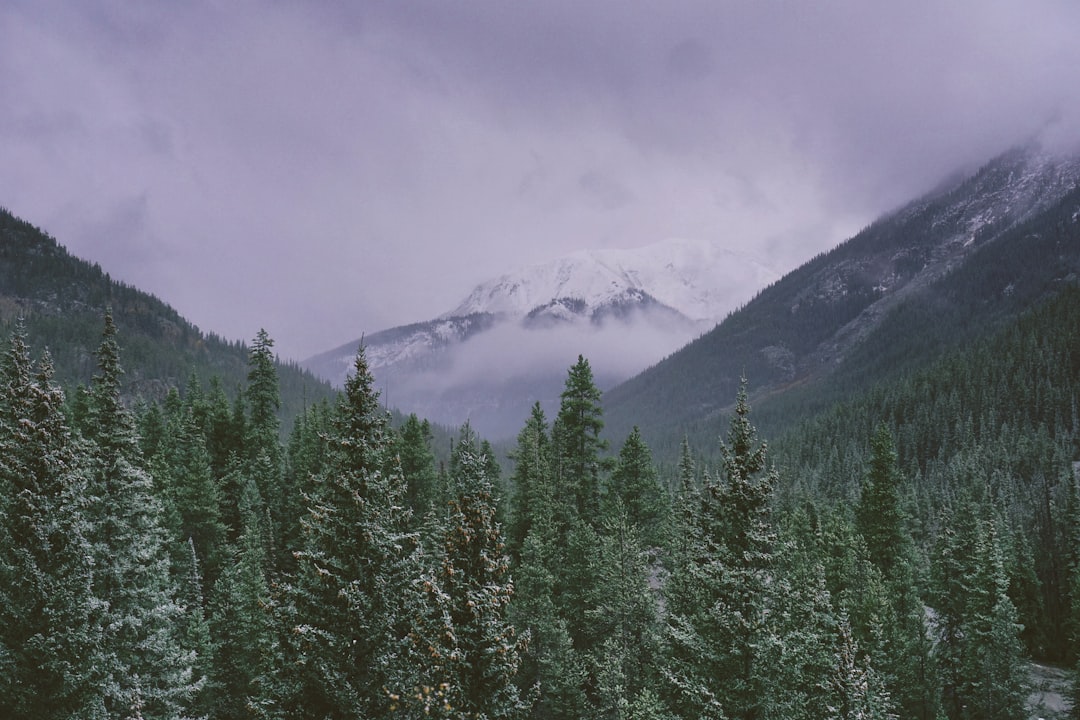 Highland photo spot Colorado Aspen