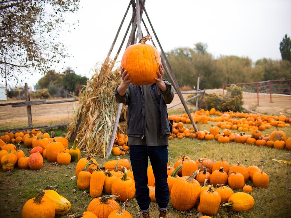 person holding pumpkin