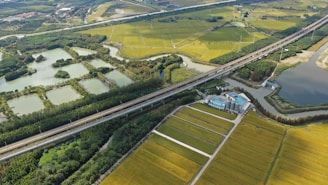 Aerial view of a rural landscape featuring a network of fields with green and yellow crops, intersected by a highway. Several bodies of water are scattered throughout the scenery, bordered by clusters of trees. There is also a group of industrial buildings situated near the road.