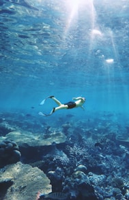 man under water