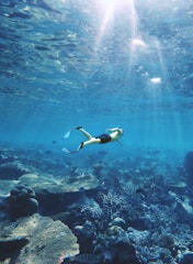 man under water