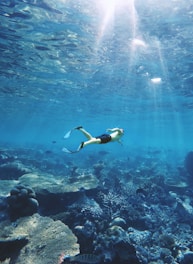 man under water