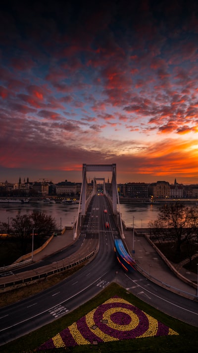 aerial photography of bridge