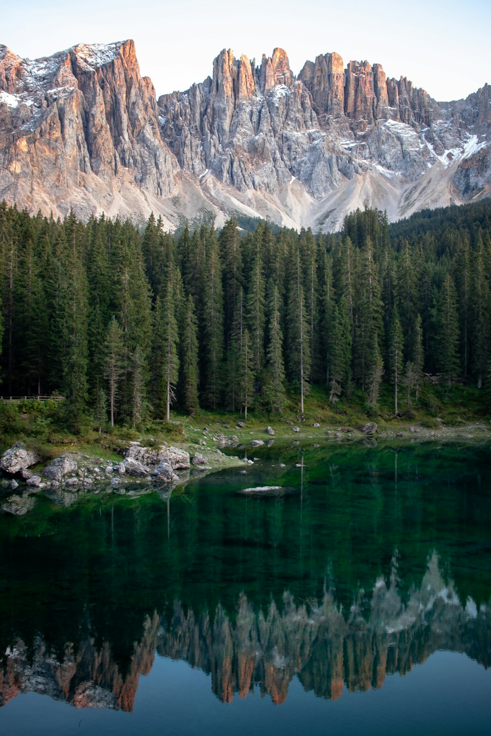 landscape photo of trees near mountain during daytime