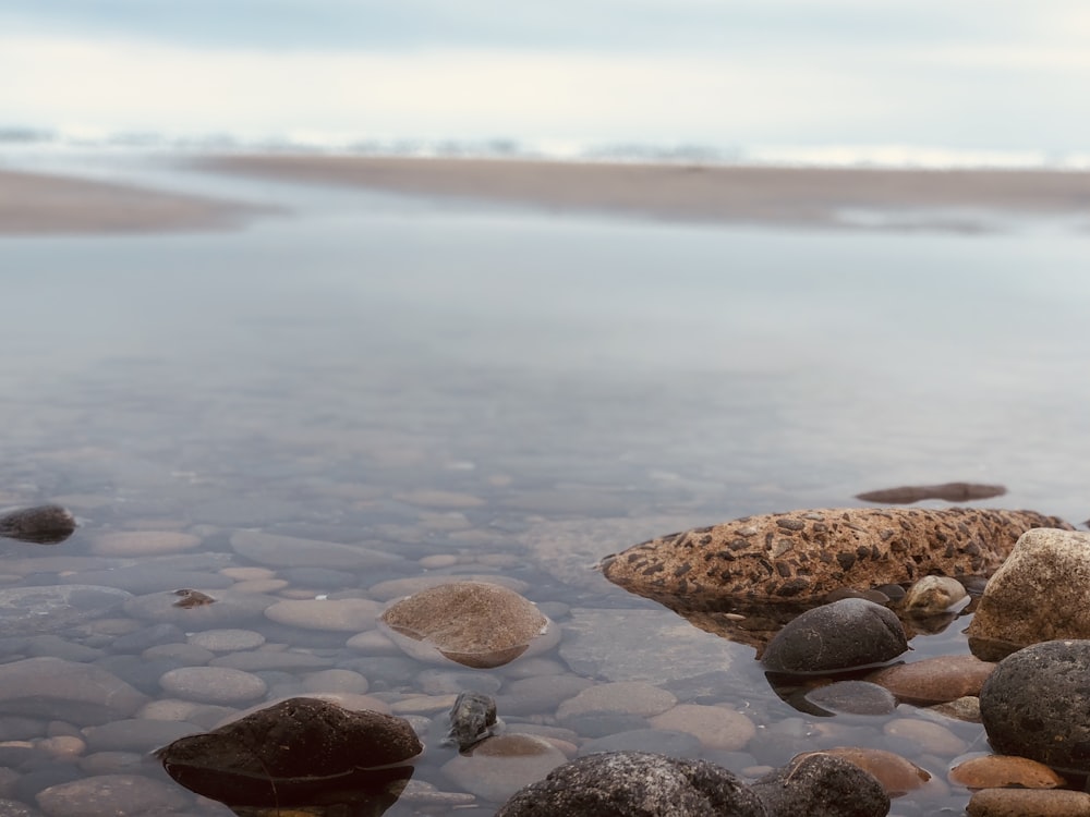 piedras en el cuerpo de agua