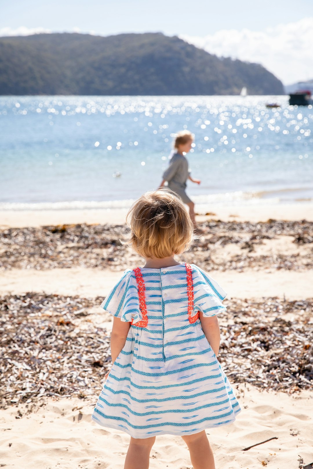 Beach photo spot Palm Beach Collaroy