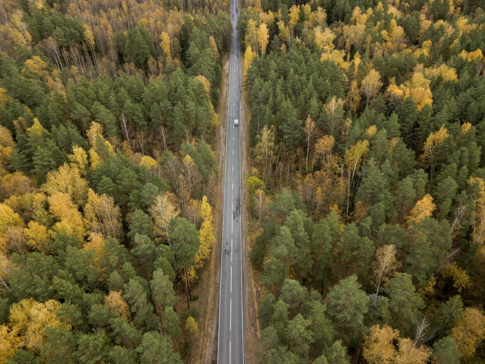 Fotografía a vista de pájaro de un vehículo en la carretera en el bosque