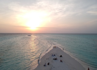 aerial photography of people on seashore during sunset