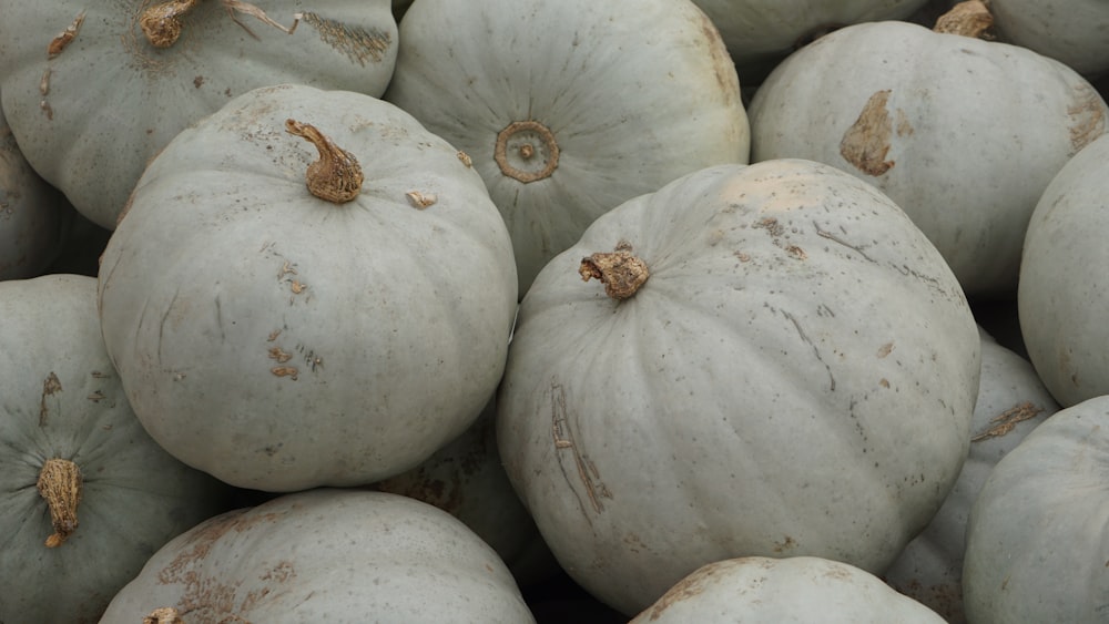 Pila de calabazas