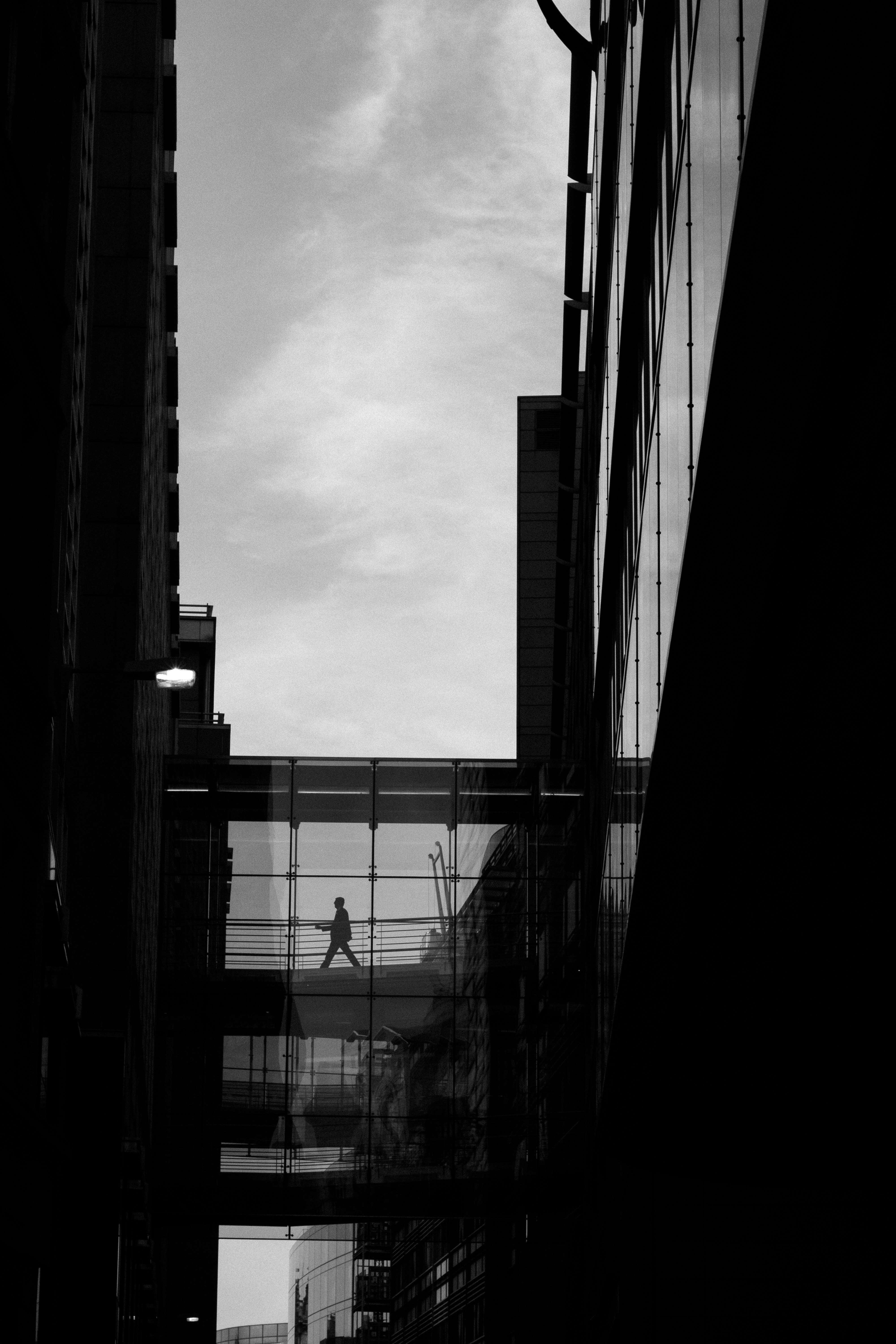 全球十大经典电影，全球十大经典电影排行榜