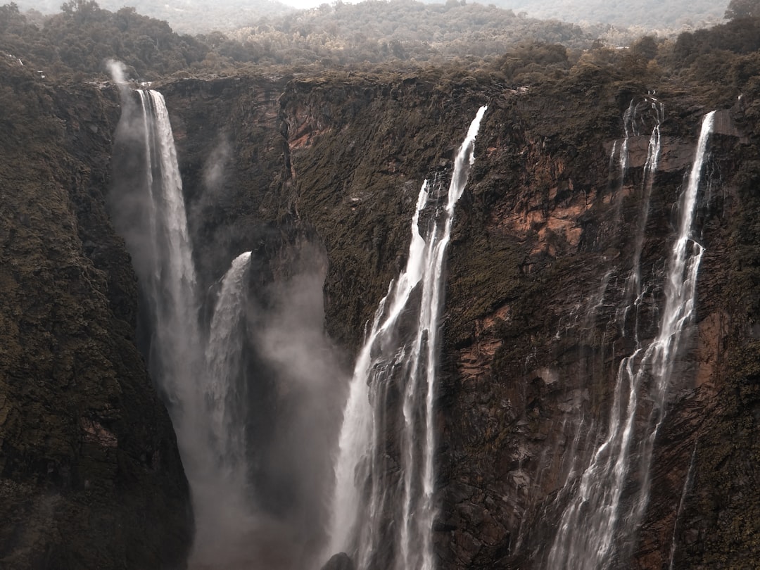 Waterfall photo spot Jog Falls Agumbe