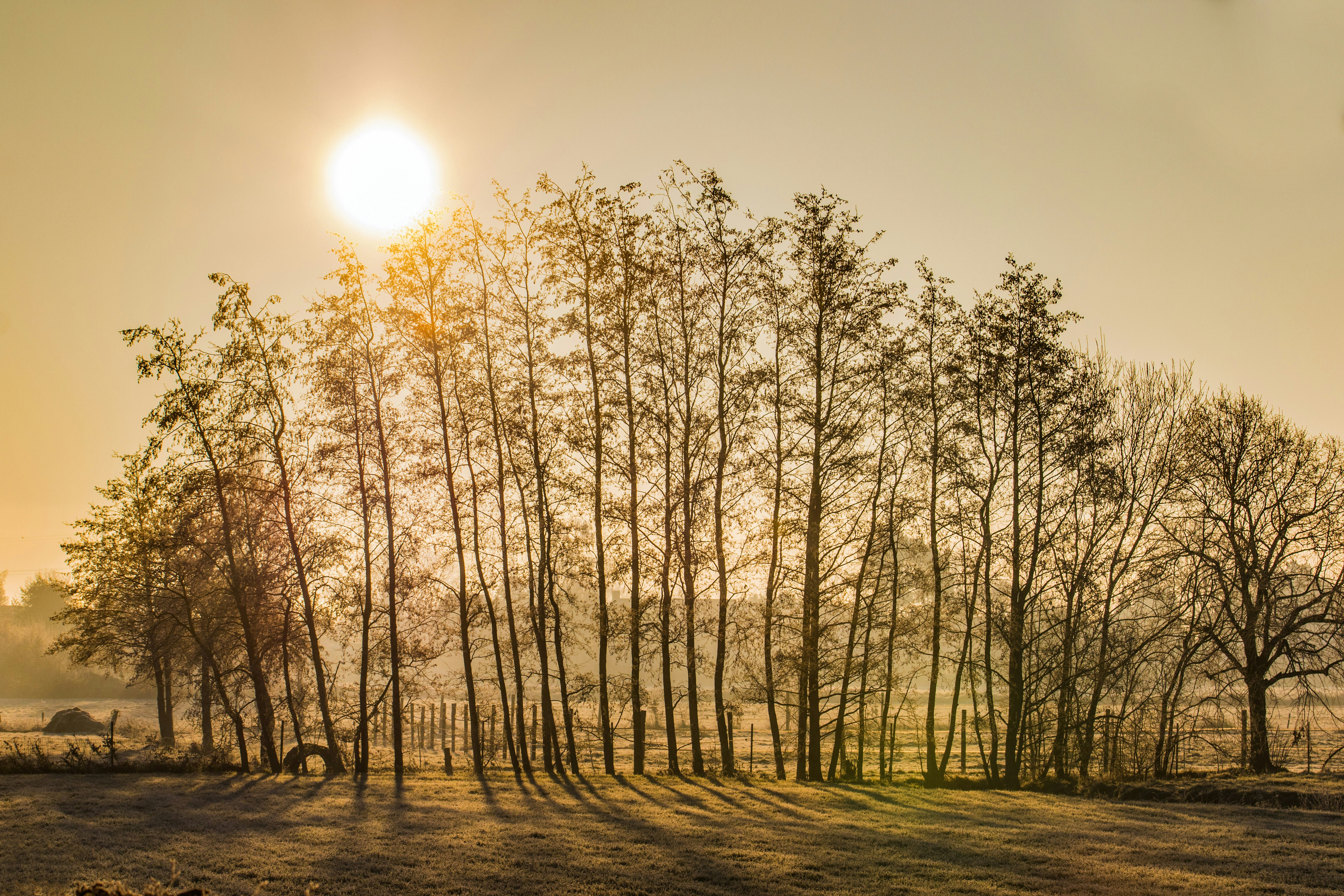 Photo by lennyvancamp