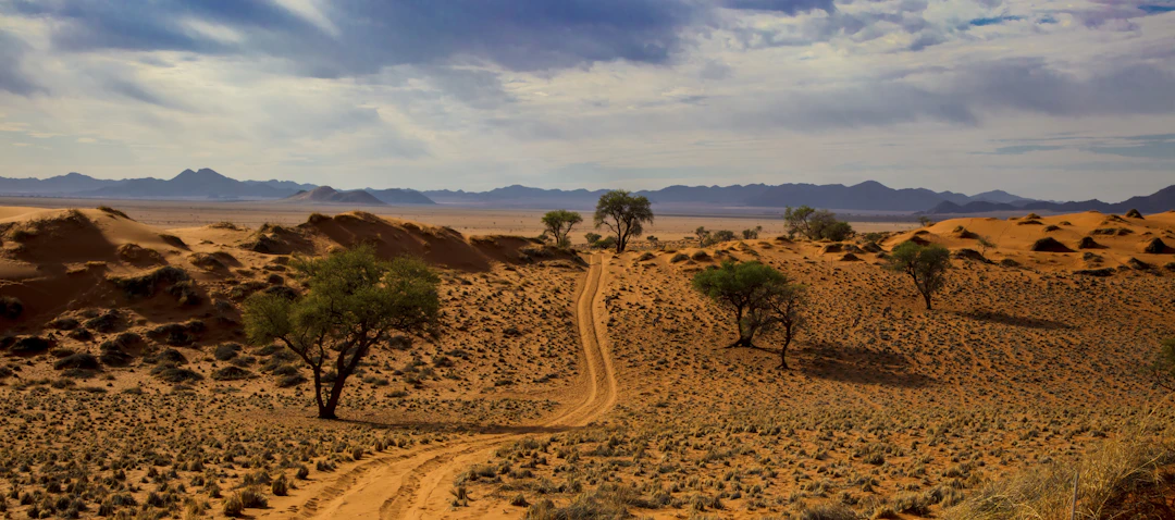3-Day Windhoek Family Itinerary: Relaxed & Kid-Friendly
