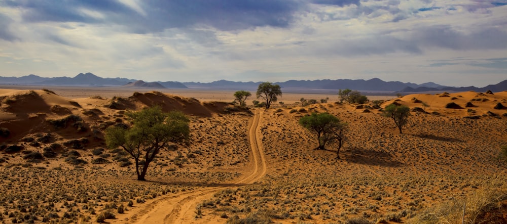 areia do deserto com árvores durante o dia