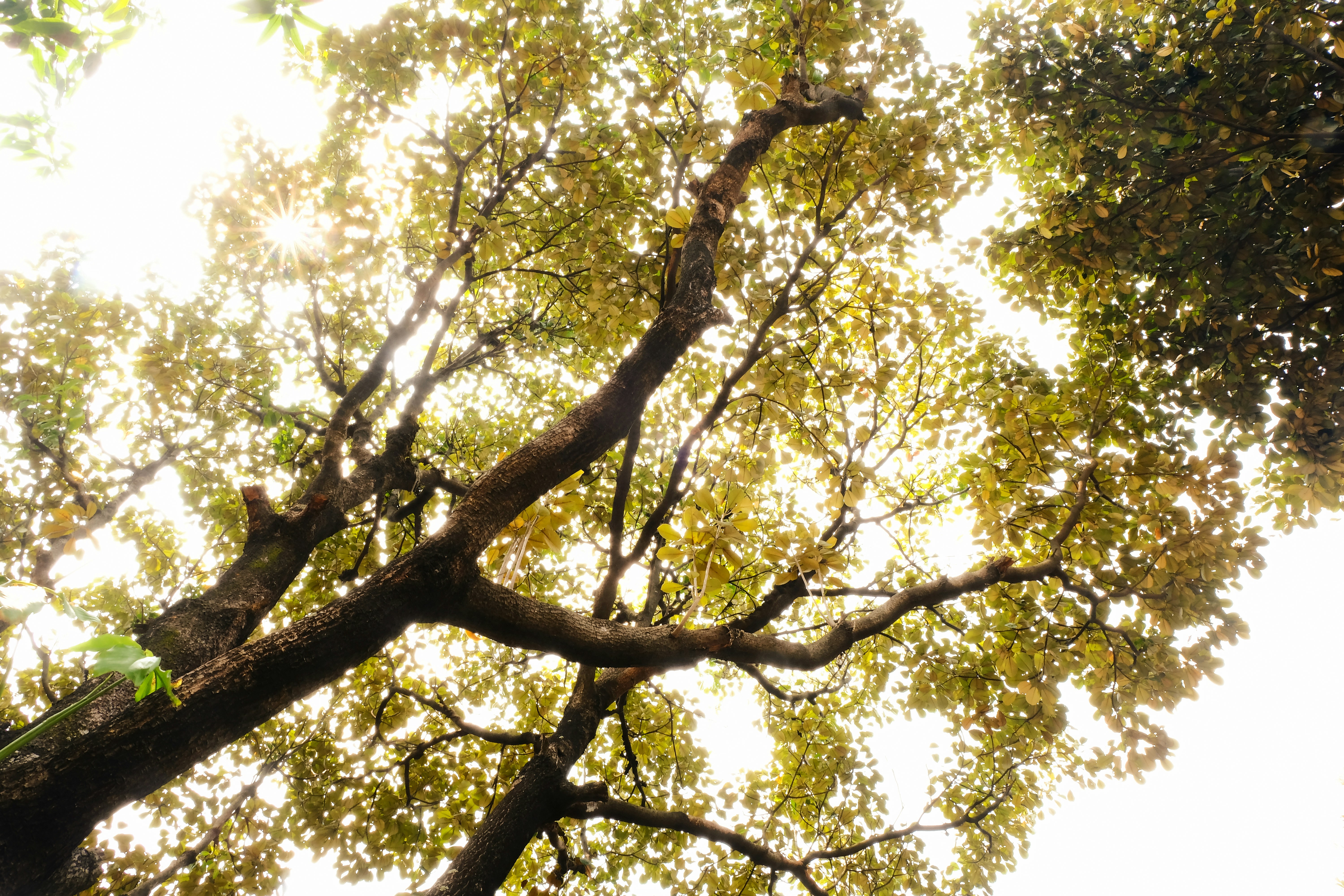 Photo by vierundsieben