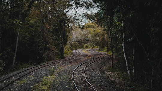 empty train rails in Iguazu National Park Argentina