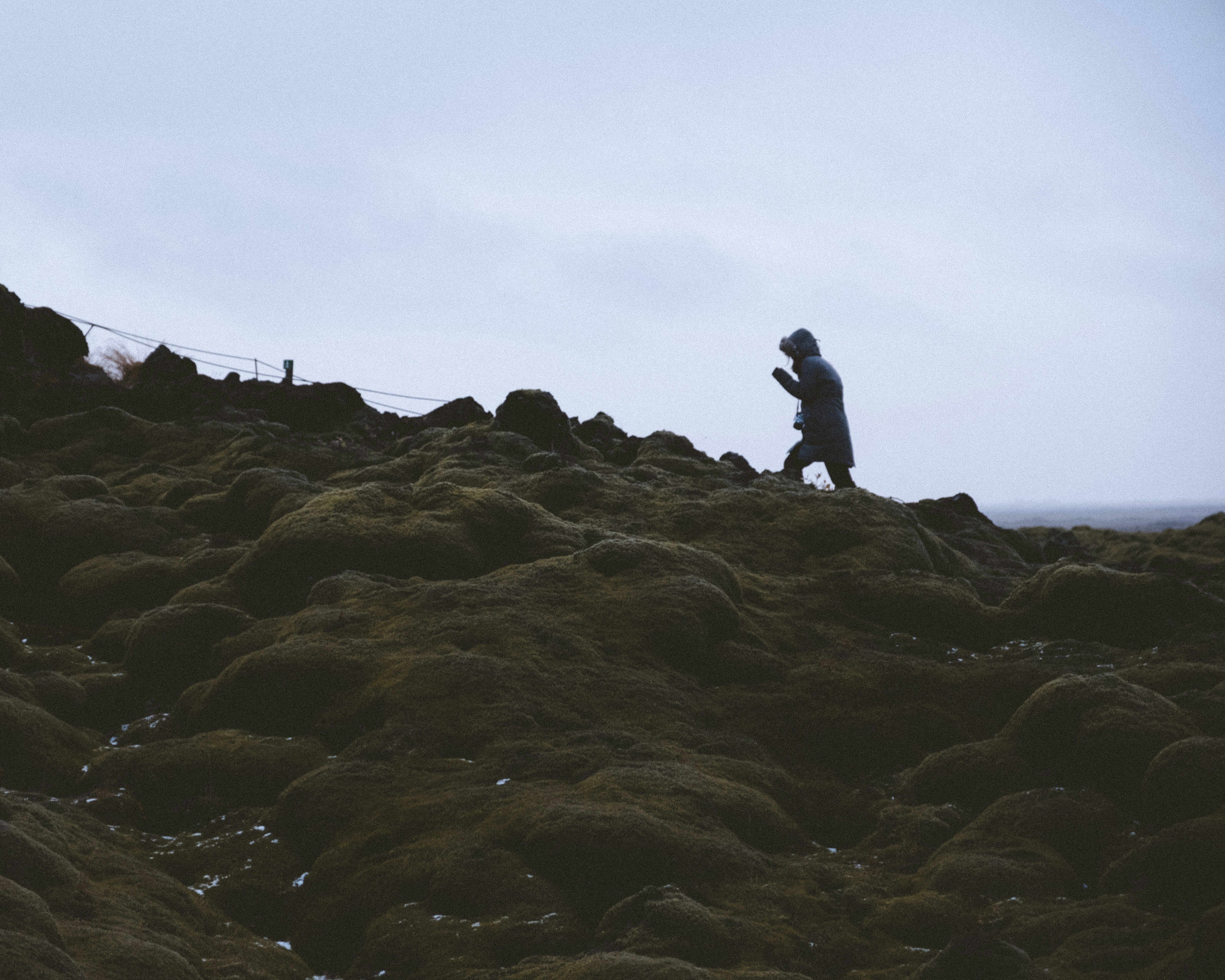 Photo by twentyonekoalas