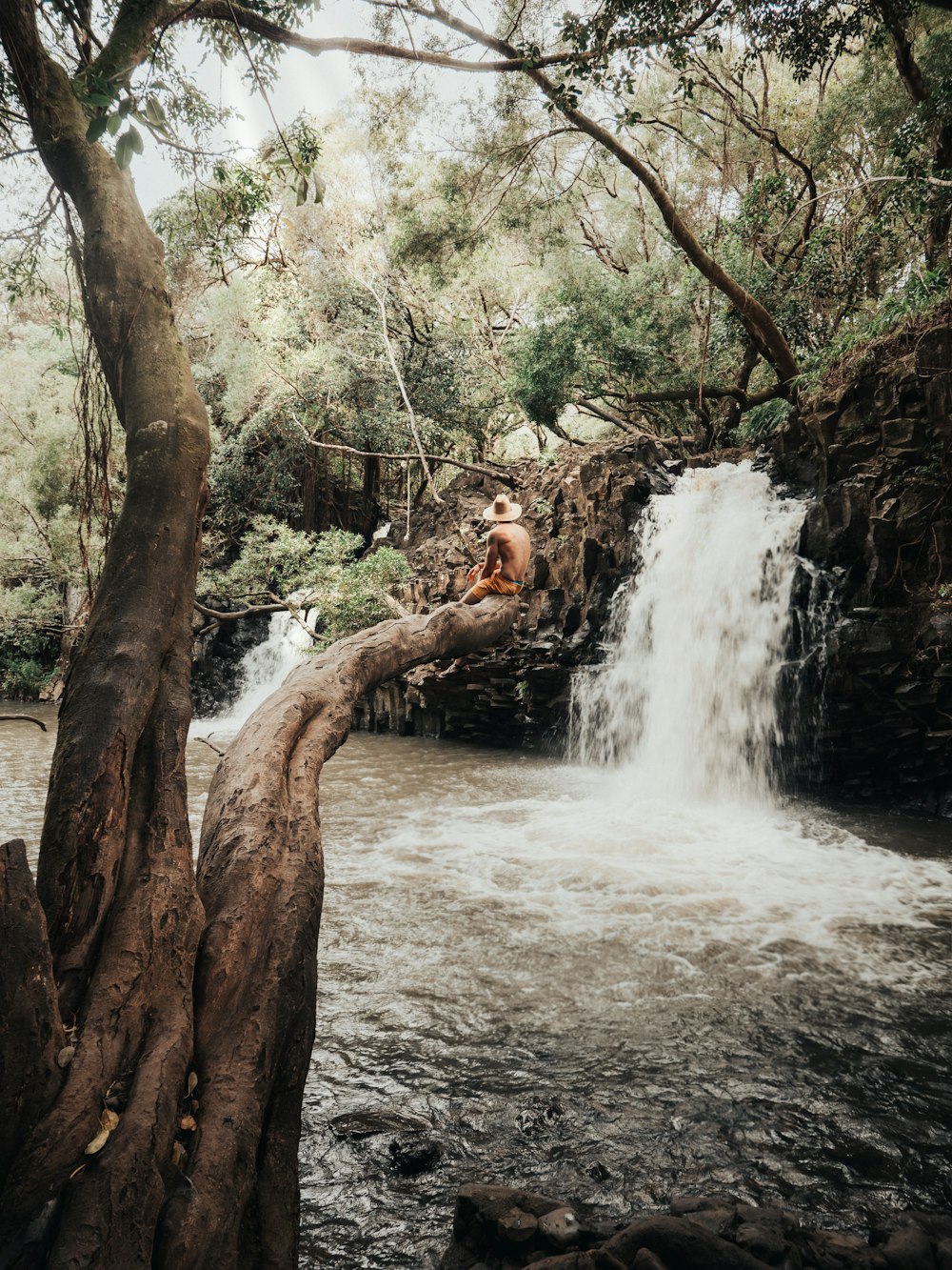 Mann sitzt auf Baum in der Nähe von Wasserfällen