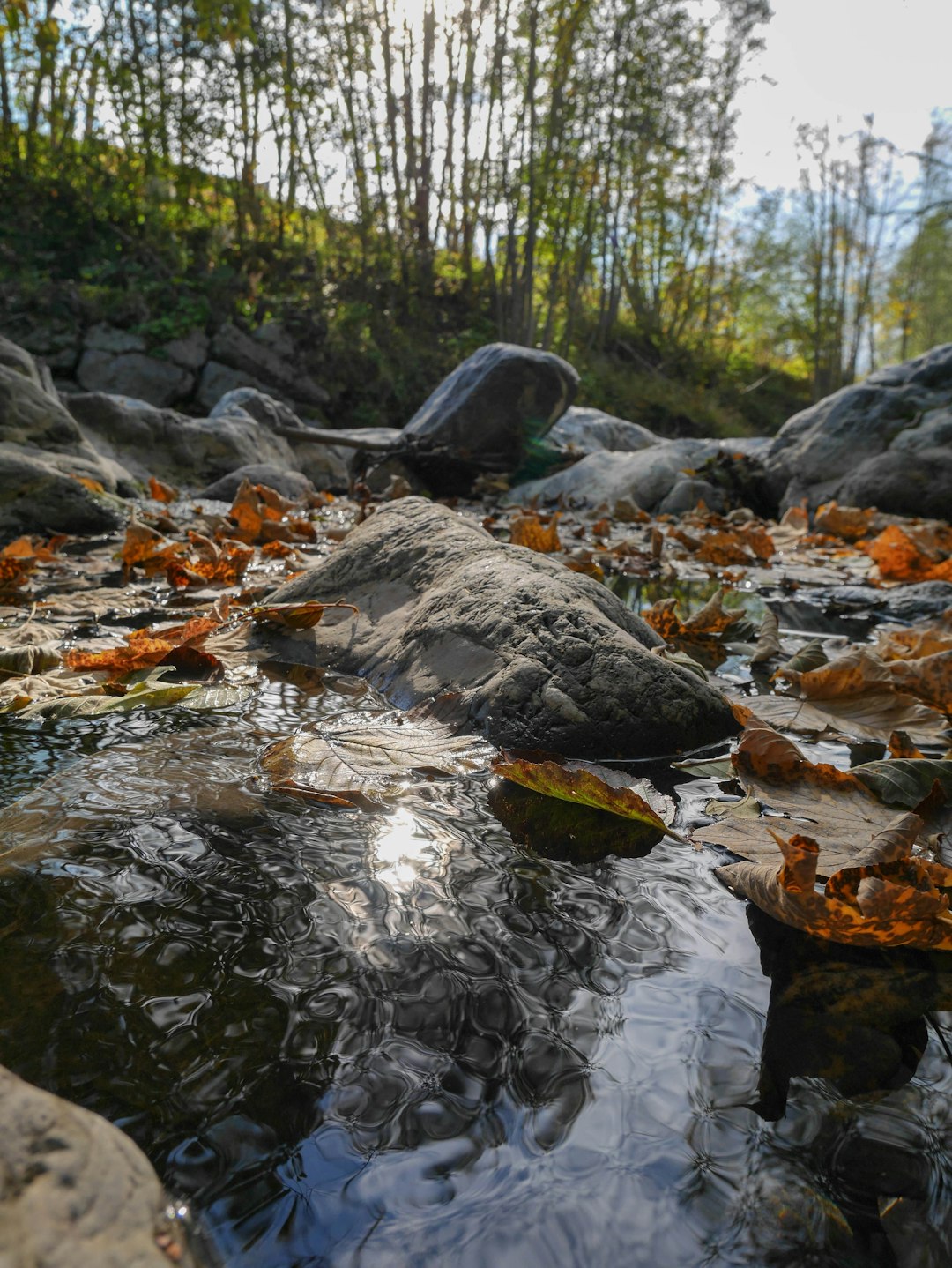 Mountain river photo spot Haute-Savoie France