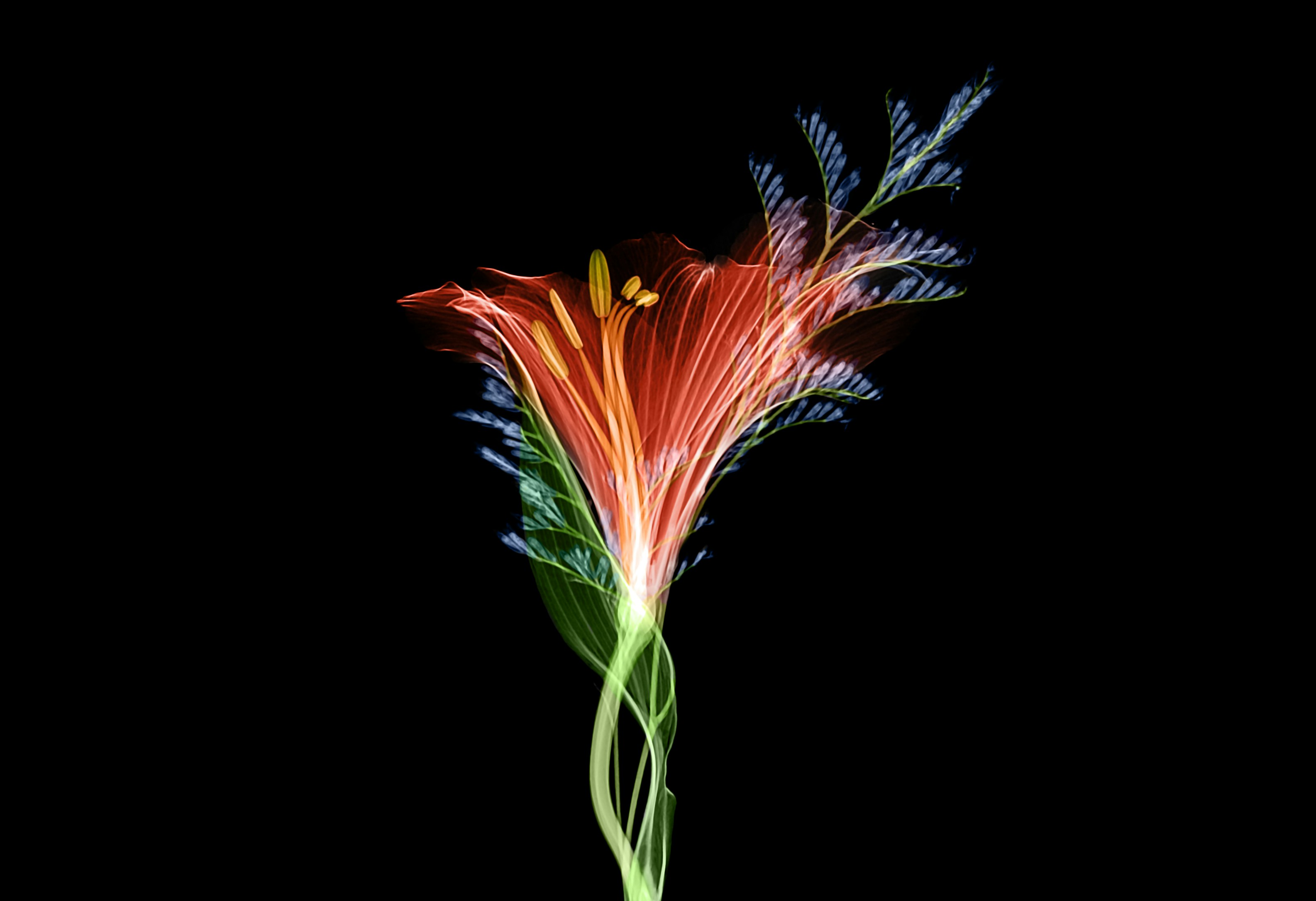 Prinsip Checks And Balances dalam Sistem Ketatanegaraan Indonesia Image