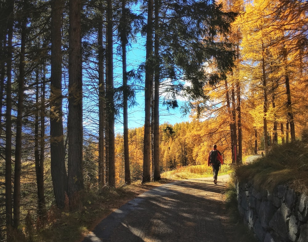 person walking on the road