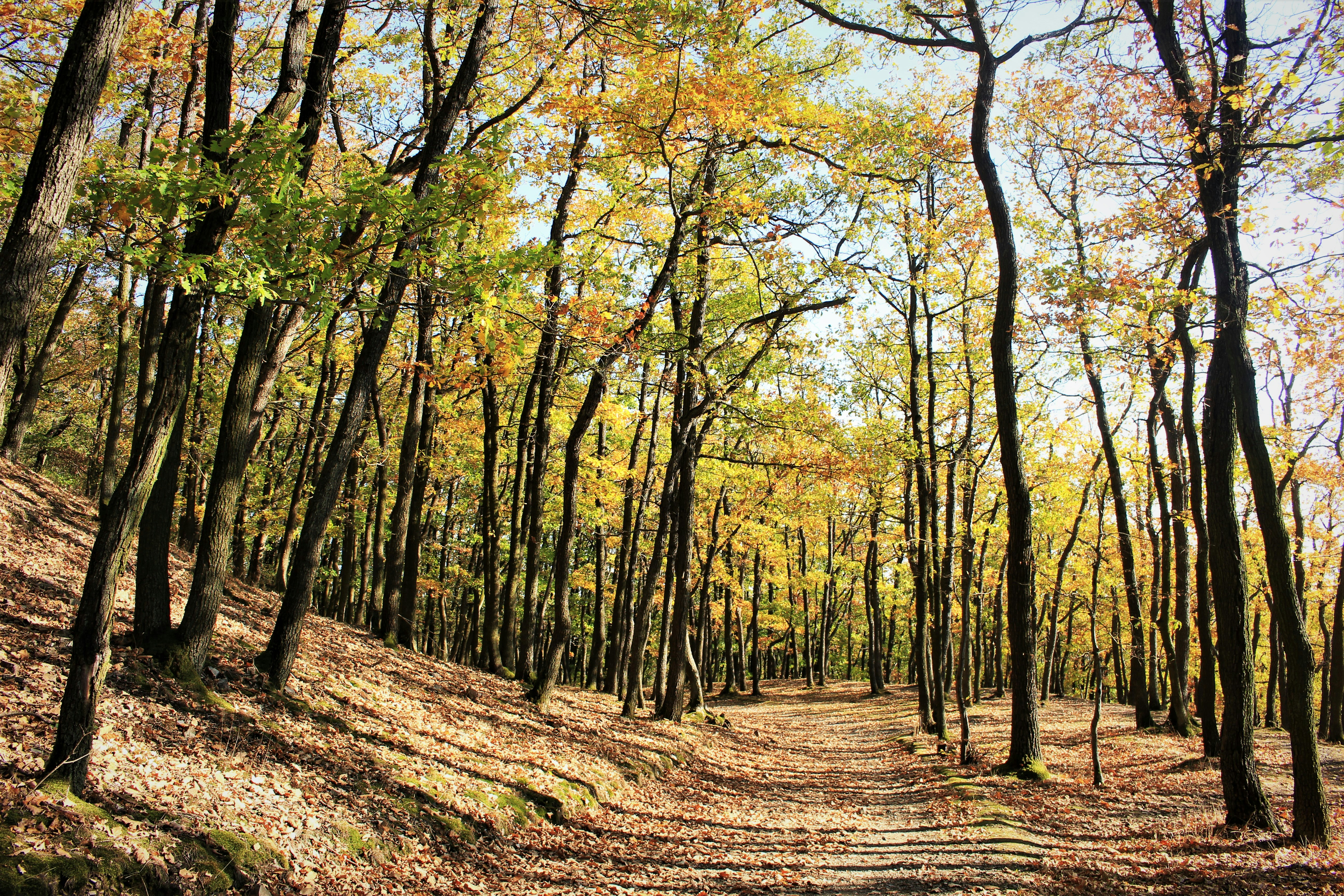 Photo by marjorylucabaxter