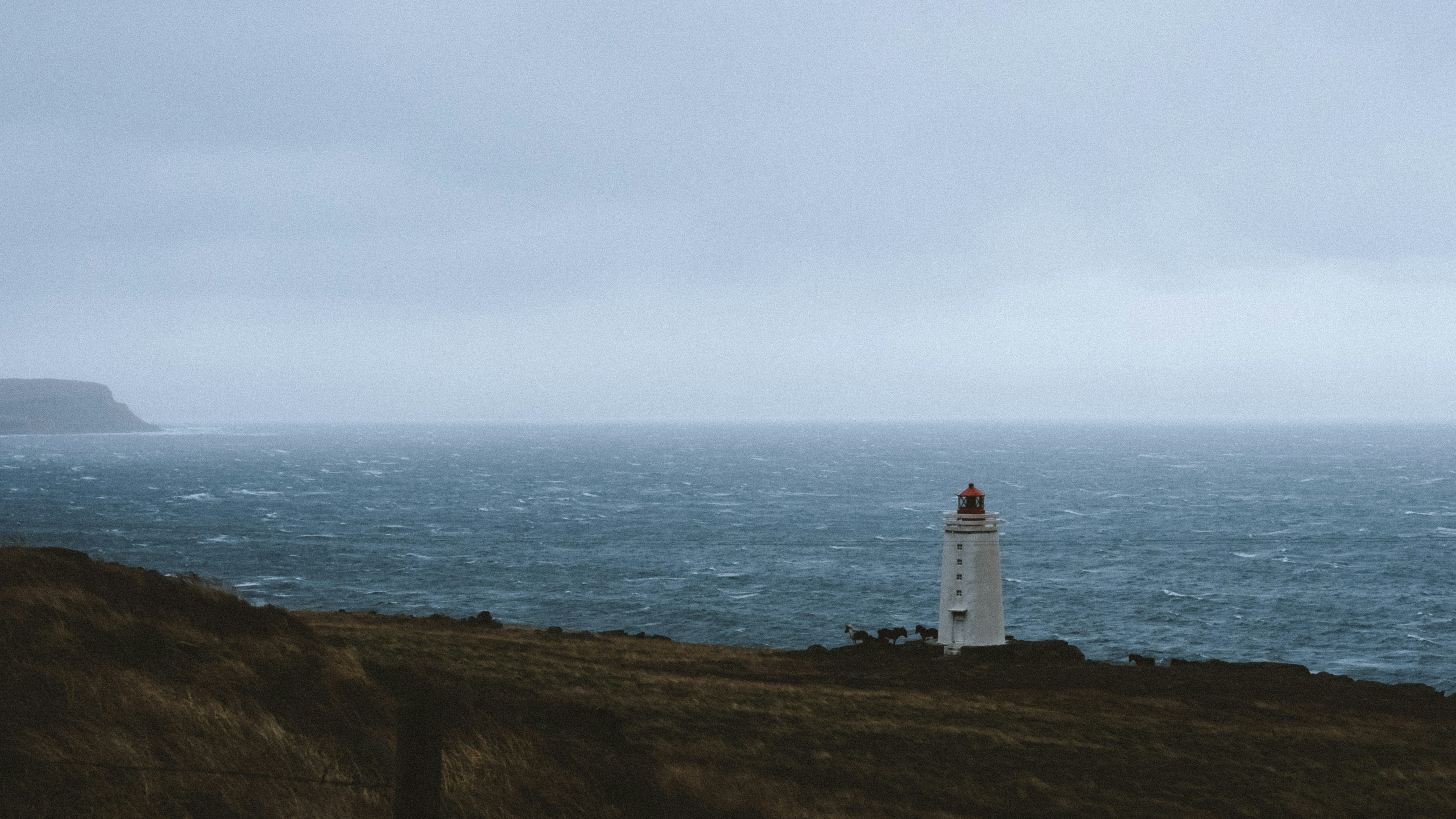 Photo by twentyonekoalas