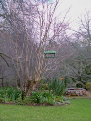 Bird feeders and water sources nestled among green shrubs in a peaceful garden.