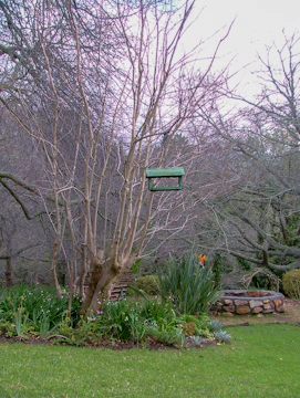 Bird feeders and water sources nestled among green shrubs in a peaceful garden.