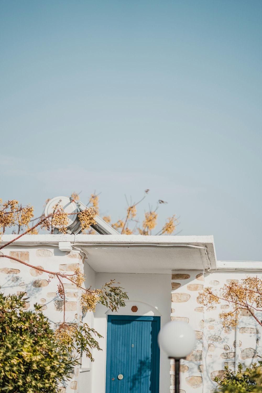 tree by concrete house with close door during daytime