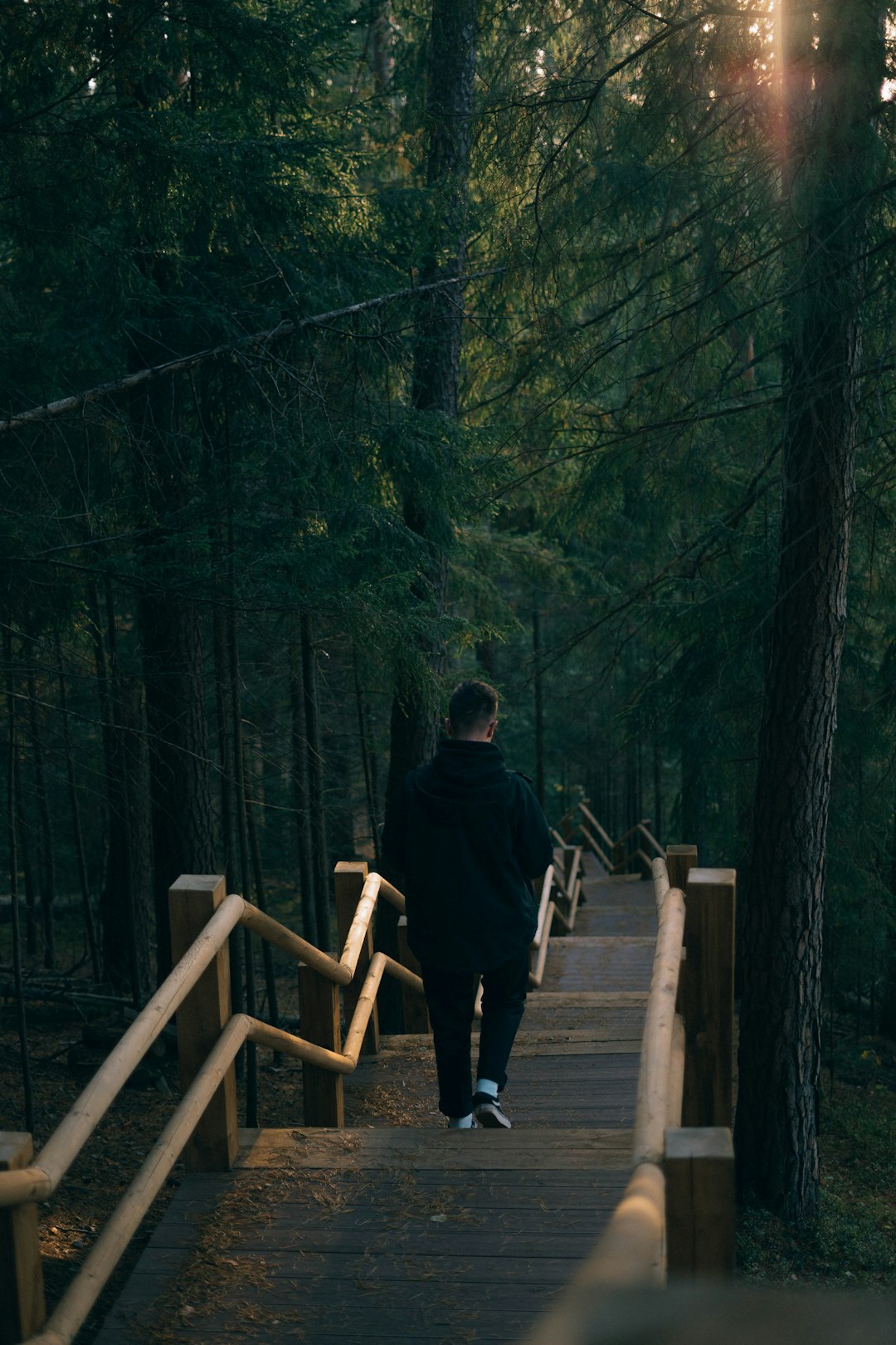 travelers stories about Natural landscape in Cirulisi nature trails, Latvia