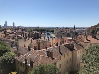 A panoramic view of Campinas showcasing its historical architecture.