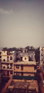 A residential area features multi-story buildings in an urban setting. Some buildings have balconies with decorative railings and rooftops adorned with antennas and satellite dishes. The scene is under a vast sky with a flock of birds flying in the distance. In the backdrop, distant trees and a hazy skyline are visible.