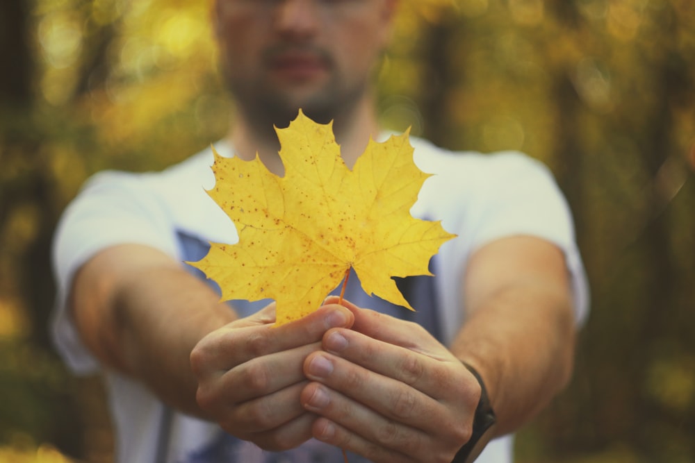 man holding yellow maple leaf