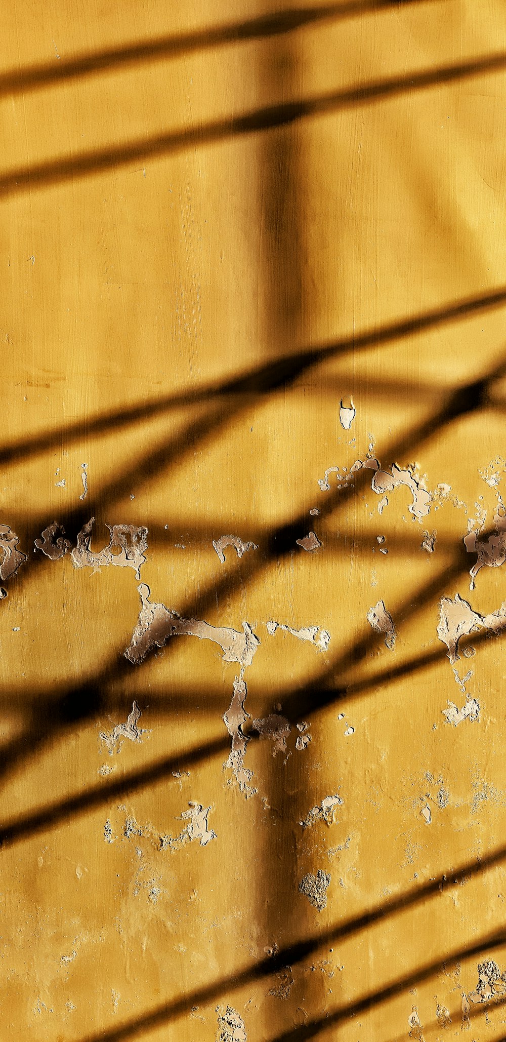 the shadow of a bird on a yellow wall