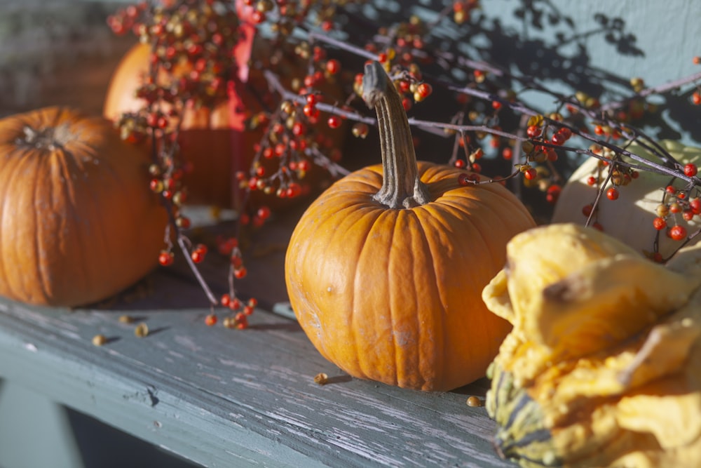 orange pumpkin lot