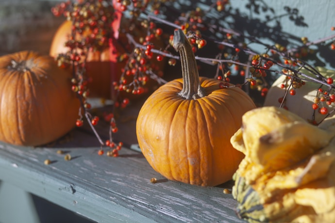 Seasonal Wellness and Articles of Health logo