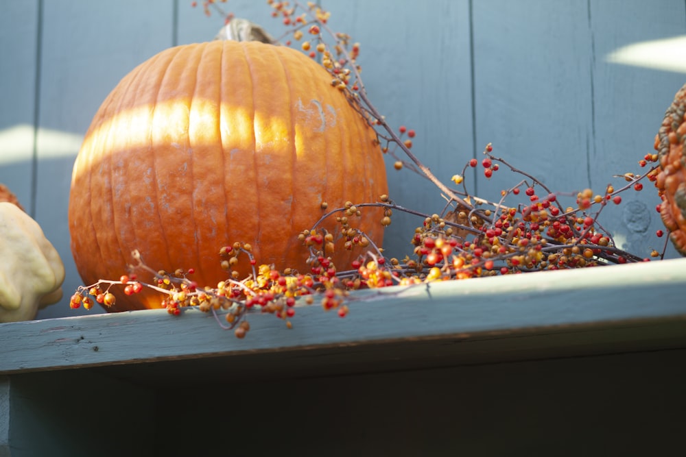 orange pumpkin on blue shelf