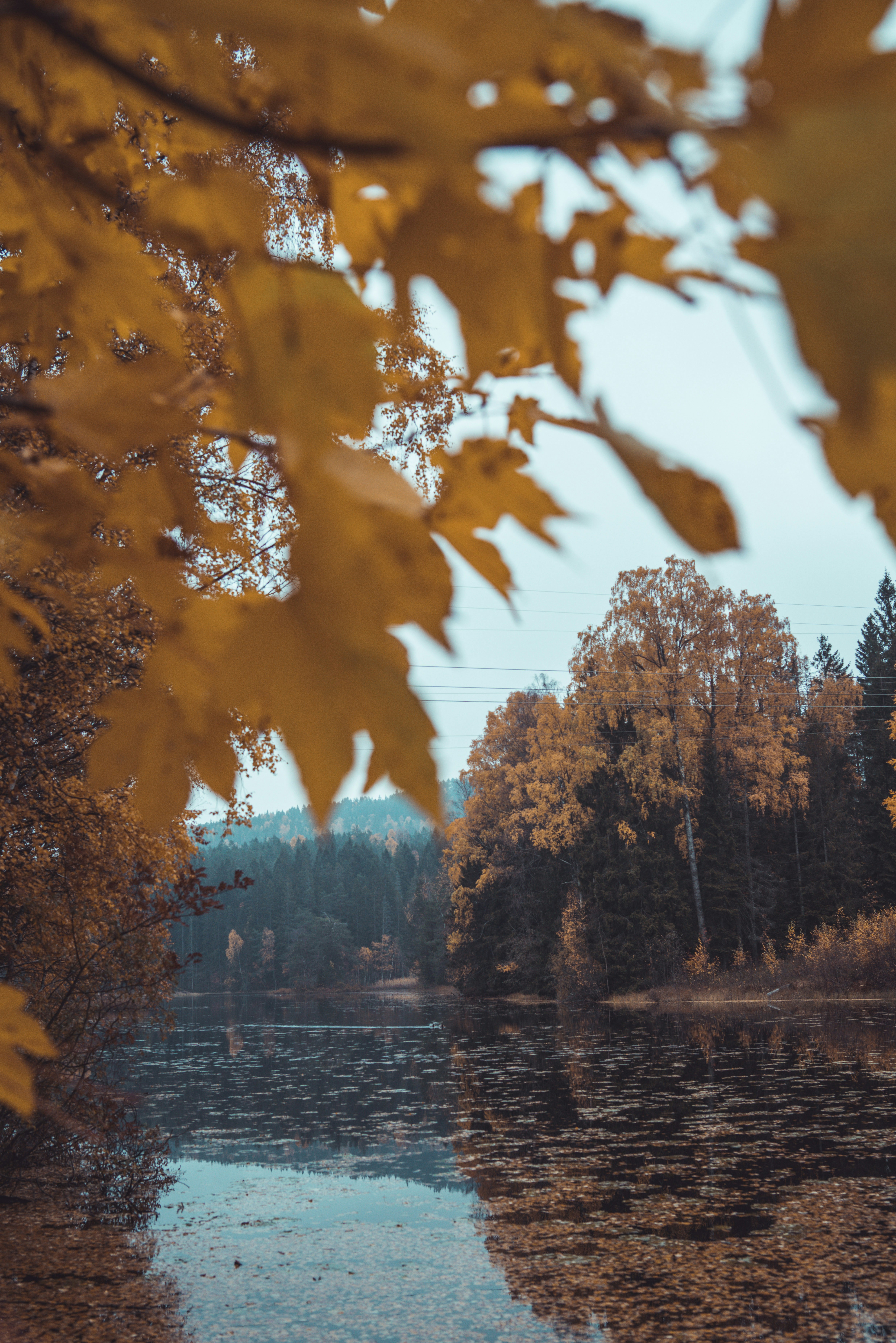 Photo by harissuljic