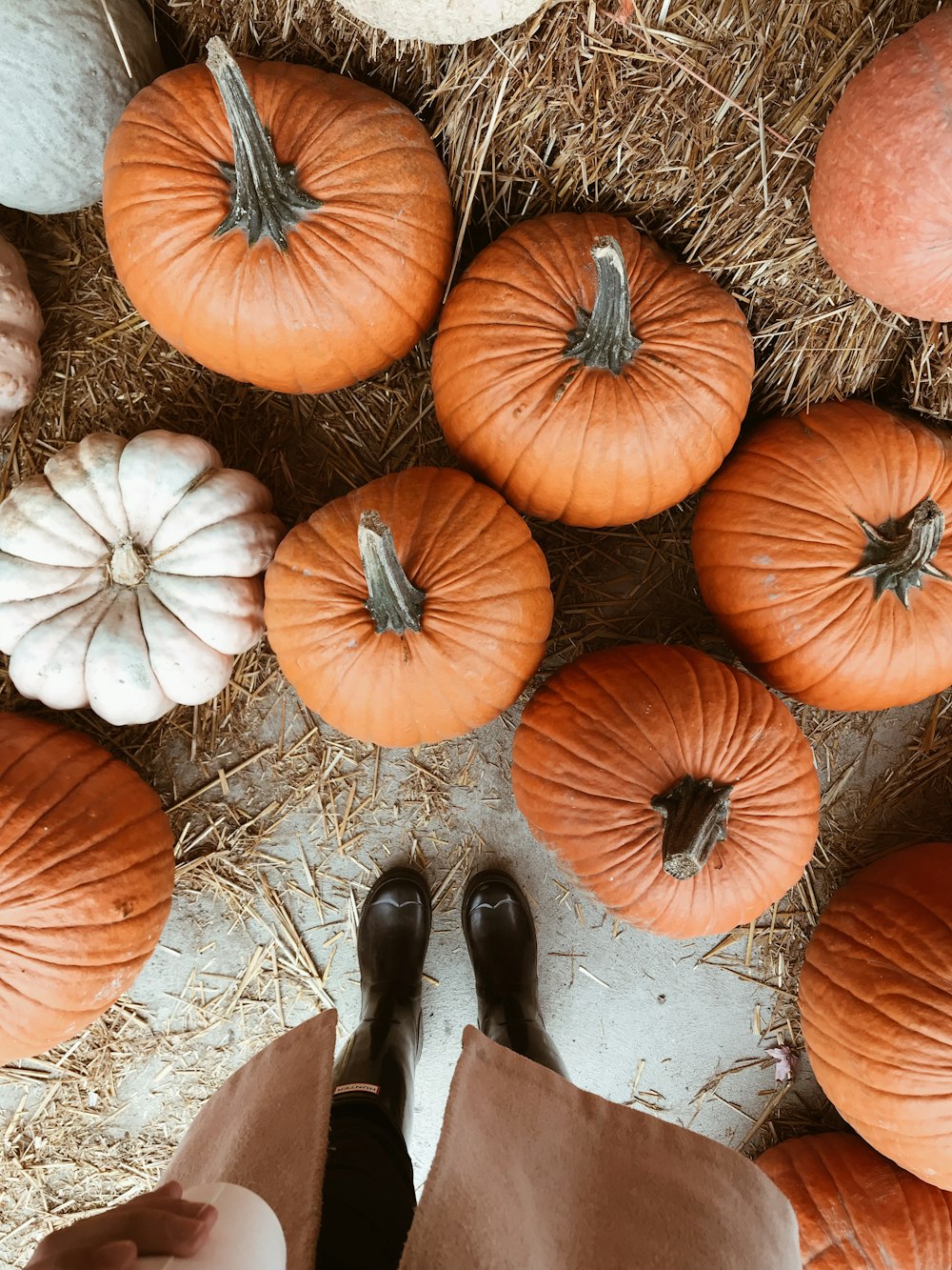 bunches of pumpkins