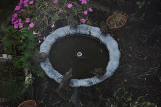 A charming upcycled bird bath nestled among blooming garden flowers.