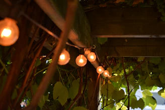 A cozy backyard pergola with warm lighting at sunset, inviting family gatherings.