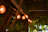 Warmly lit outdoor dining area with timber decking and soft glowing pergola lights at dusk.